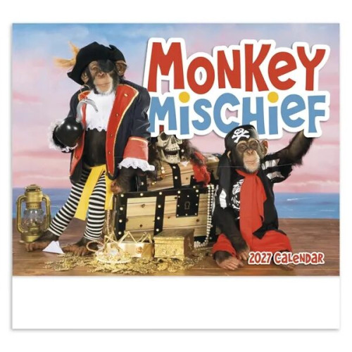 Good Value™ Monkey Mischief - Stapled Calendar