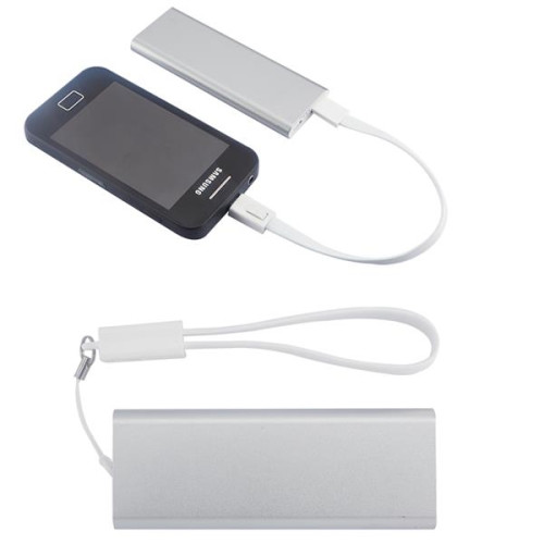 Slim Aluminum Power Bank Charger with Micro USB Cable Wri...