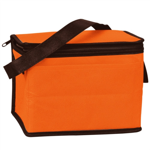 6 Pack Non-Woven Lunch Cooler Bag