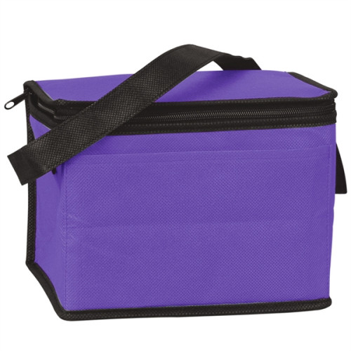 6 Pack Non-Woven Lunch Cooler Bag