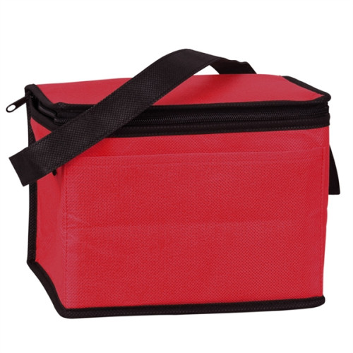 6 Pack Non-Woven Lunch Cooler Bag