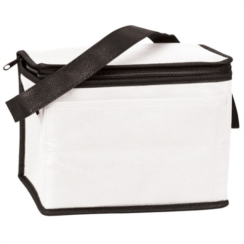 6 Pack Non-Woven Lunch Cooler Bag