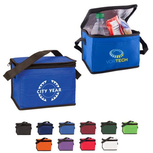 6 Pack Non-Woven Lunch Cooler Bag
