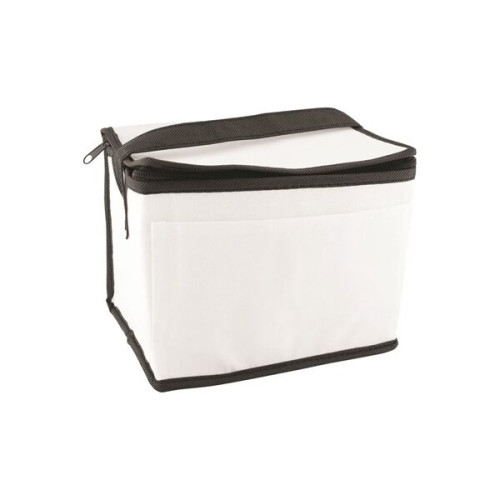 6 Pack Non-Woven Lunch Cooler Bag