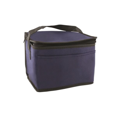 6 Pack Non-Woven Lunch Cooler Bag