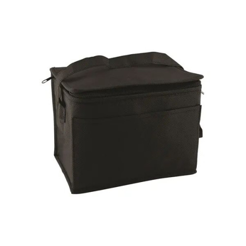6 Pack Non-Woven Lunch Cooler Bag