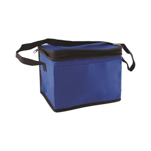 6 Pack Non-Woven Lunch Cooler Bag