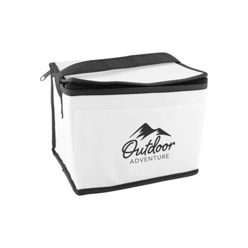 6 Pack Non-Woven Lunch Cooler Bag