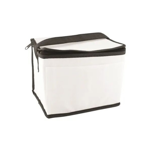 6 Pack Non-Woven Lunch Cooler Bag