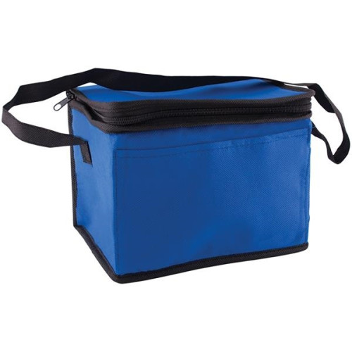 6 Pack Non-Woven Lunch Cooler Bag