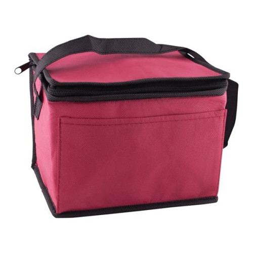 6 Pack Non-Woven Lunch Cooler Bag