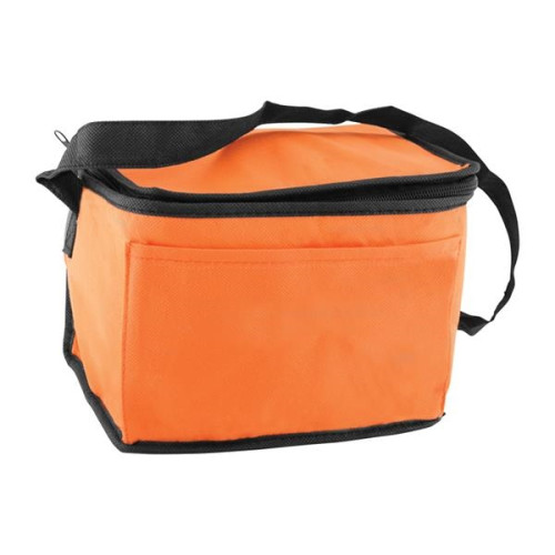 6 Pack Non-Woven Lunch Cooler Bag