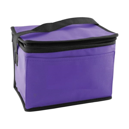 6 Pack Non-Woven Lunch Cooler Bag