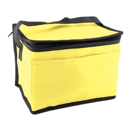 6 Pack Non-Woven Lunch Cooler Bag