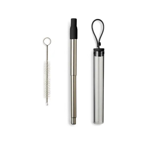 Festival Telescopic Reusable Drinking Straw Kit