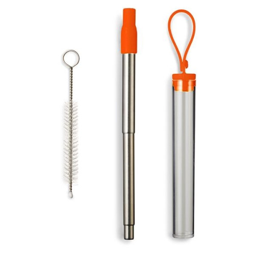 Festival Telescopic Reusable Drinking Straw Kit