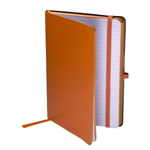 Venezia Carnivale Journal