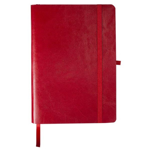 Venezia Carnivale Journal