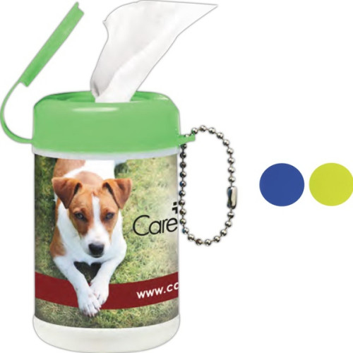Mini Canister of Wet Wipes - 30 PC
