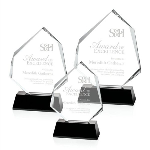 Warner Award - Black