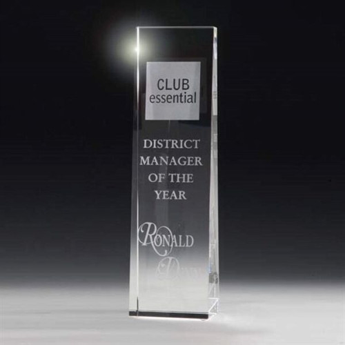 McKinley Tower Award