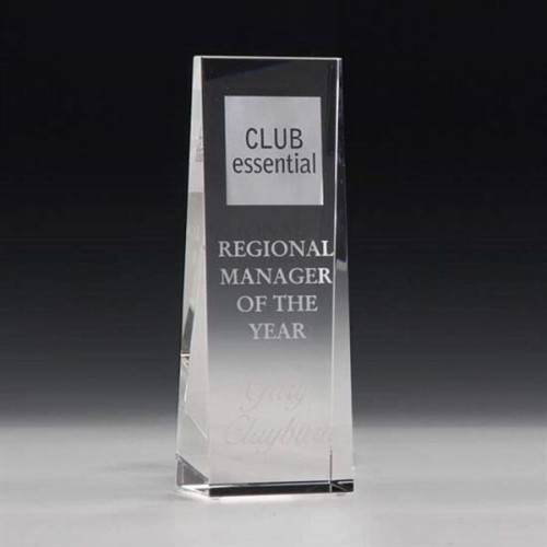 McKinley Tower Award